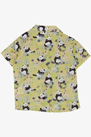 Jack Lions Erkek Çocuk Gömlek Eğlenceli Pandacık Desenli 1.5-5 Yaş, Fıstık Yeşili