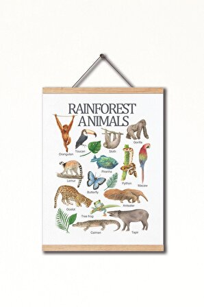 Dekor Loft Montessori İngilizce Eğitici Poster Yağmur Ormanı Hayvanları Pu Deri Çocuk Odası Tablosu