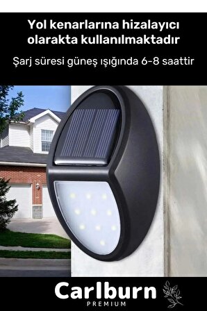 Özel Premium Açma Kapama Tuşlu Solar Su Geçirmez Oval Duvara Monteli 10 Ledli Bahçe Lambası 1 Adet