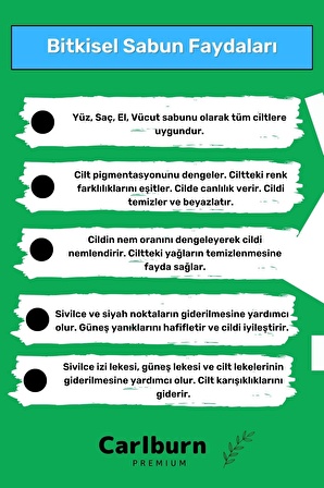 Özel Üretim %100 Doğal Koku Yüz Cilt Beyazlatıcı Organik Nemlendirici Aloe Vera Sabunu 1 Adet