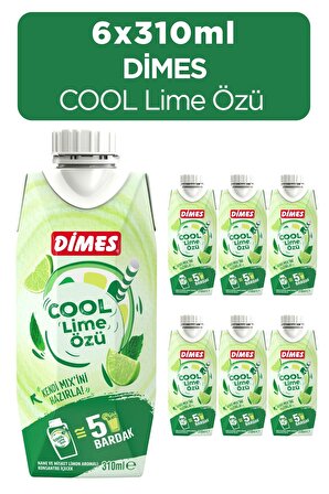 Dimes Cool Lime Özü 310 ml 6'lı