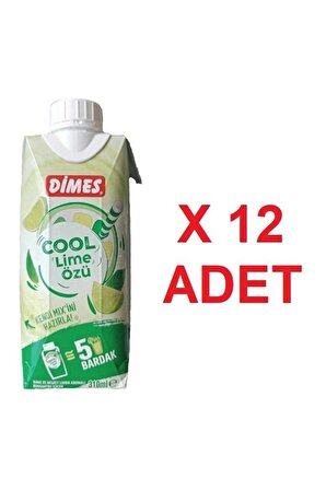 Dimes Cool Lime Özü 310 ml 12'li
