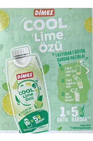Dimes Cool Lime Özü 310 ml 12'li