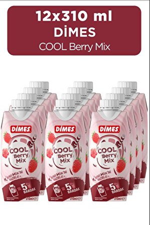 Dimes Cool Berry Mix 310 ML 12'Li Paket