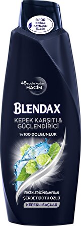 Blendax Tüm Saçlar İçin Kepek Önleyici 2'si 1 Arada Şampuan 500 ml