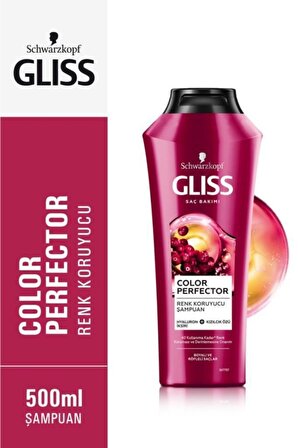 Gliss Color Protect Boyalı-Röfleli Saçlar İçin Canlandırıcı Brezilya Cevizi Yağlı Şampuan 500 ml