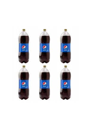 Pepsi 2,5 lt 6'lı