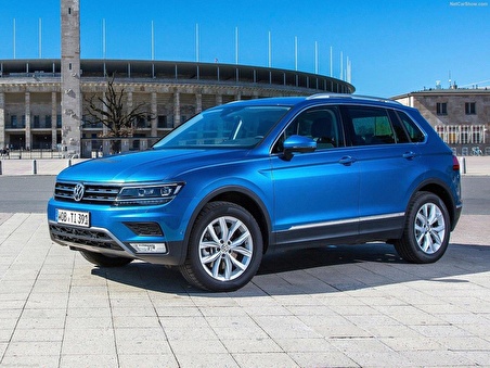 VW Tiguan 2016-2022 Motor Kaputu Açma Telinin Kolu 3G0823533