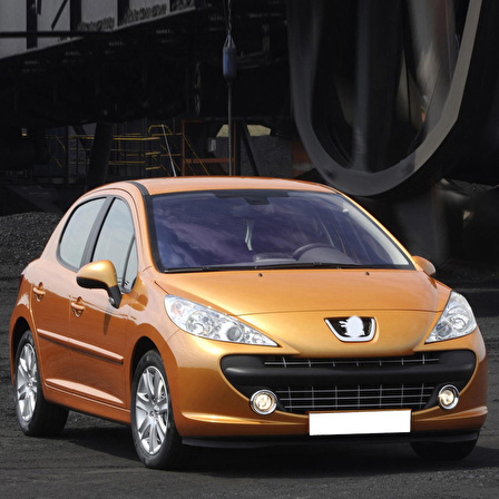 Peugeot 207 2006-2014 Cam Suyu Deposunun Kapağı Fiskiye Kapak