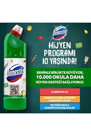 Domestos Maksimum Hijyen Dağ Esintisi Konsantre Jel Çamaşır Suyu 750 ml