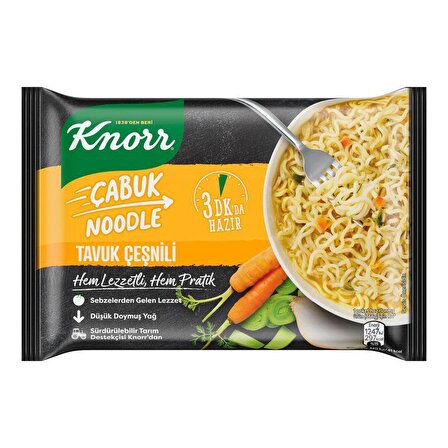 Knorr Çabuk Noodle Tavuklu 66 gr
