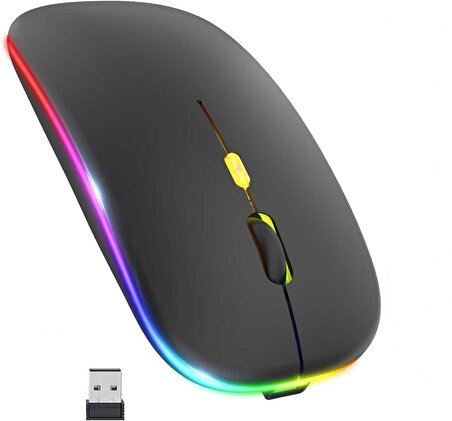 Siyah RGB Şarjlı Kablosuz 1600DPI Işıklı Kablosuz Mouse Bwm6