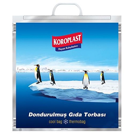 KOROPLAST DONDURULMUŞ GIDA TORBASI 50X52 50*52 