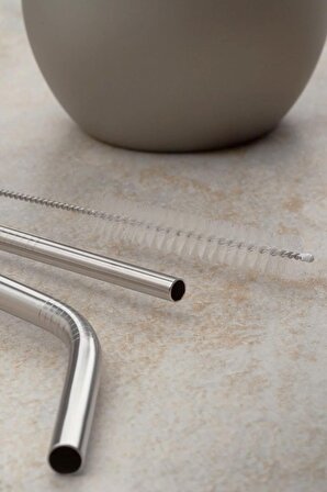 2'li Paslanmaz Çelik Pipet | Pipet Temizleme Fırçası