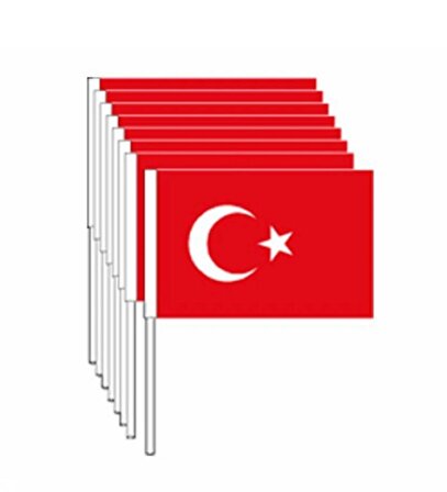 Vatan Çıtalı Büyük Türk Bayrağı 40 Lı