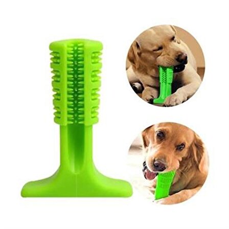 PET Miyav® Köpek Diş Temizleyici ve Kaşıyıcı Sağlıklı Küçük Boy Oyuncak