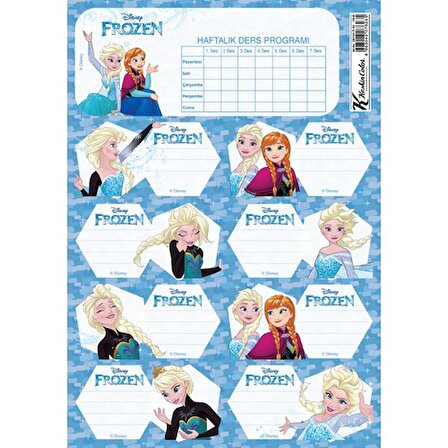 Frozen Ders Programı 3lü Etiket