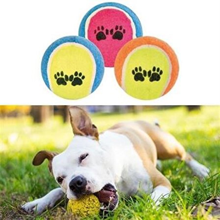 PET Miyav®  3lü Renkli Desenli Tenis Topu Kedi Köpek Oyuncağı