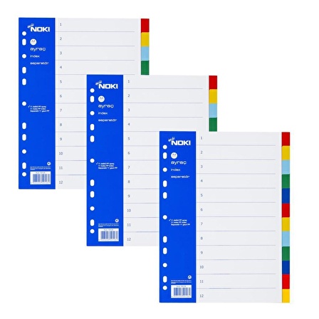 Noki Ayraç Seperatör 12 Renk 3 Adet 59126