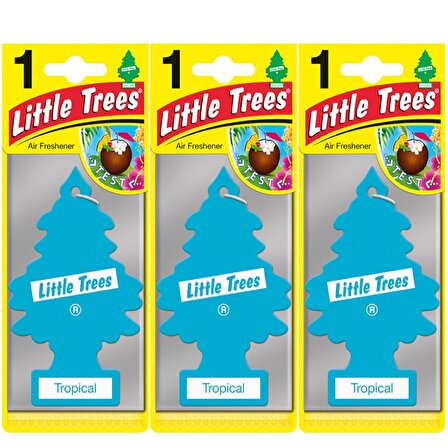 Little Trees Oto Kokusu 3'lü Tropical