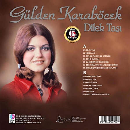 Gülden Karaböcek  - Dilek Taşı (plak) alithestereo