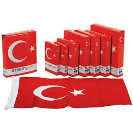 Temat Türk Bayrağı 30x45 cm