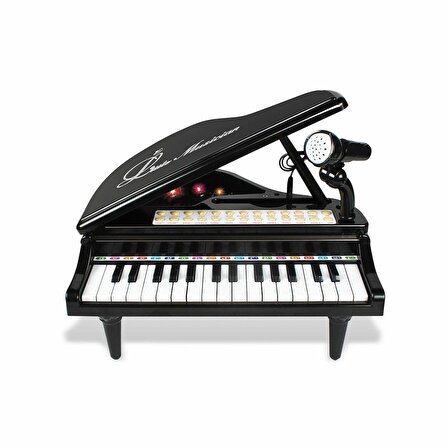 BAO-1504B 31 Tuşlu Mini Piano MP3 -Vardem