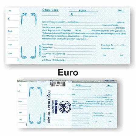 Dilman Euro Senet Koçanı 100 Lü Paket