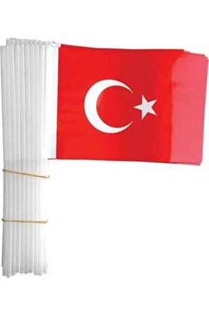 Vatan Battal Boy Çıtalı Kağıt Türk Bayrağı 40 LI
