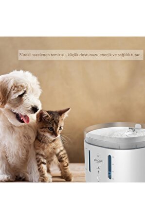 Friendly Water Feeder- Uv Işın- 2l -ultra Sessiz- App Uygulamalı-kedi Köpek Akıllı Su Kabı