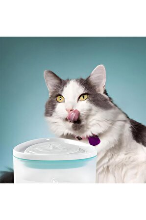 Friendly Water Feeder Otomatik- 2.5l- Ultra Sessiz- Kedi Köpek Otomatik Su Kabı
