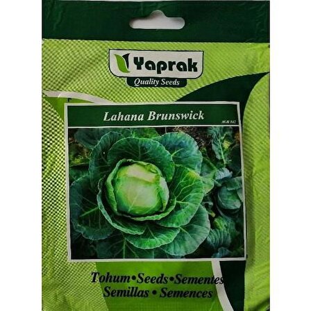 Lahana Brunswick Tohumu 5 GR Cabbage Brunswick Seed 