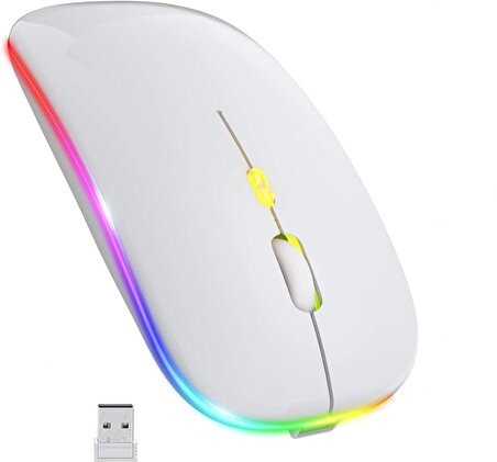 Beyaz RGB Şarjlı Kablosuz 1600DPI Işıklı Kablosuz Mouse Bwm6