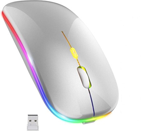 Gri RGB Şarjlı Kablosuz 1600DPI Işıklı Kablosuz Mouse Bwm6