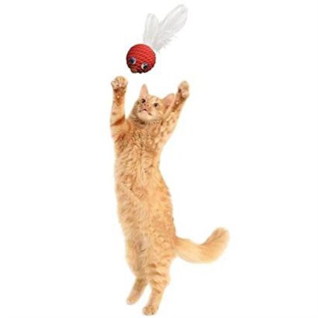 PET Miyav®  Renkli Hasır  Tüylü Oyun Topu (Catnipli) İlgi Çekici Eğlenceli  Eğitici Evcil Hayvan Oyu