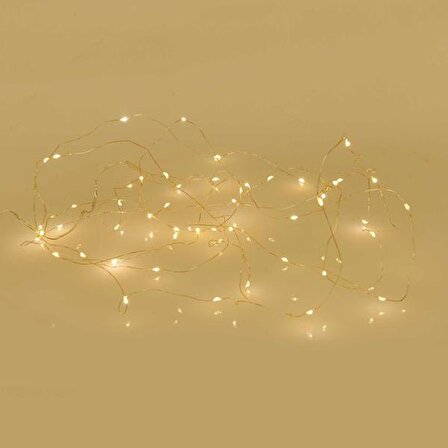 Petrix PD9441 50 LED Fairy String Light (Peri Işık)