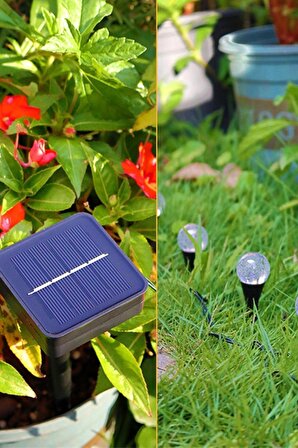 Petrix T9510 10 LED Solar Bahçe Aydınlatması