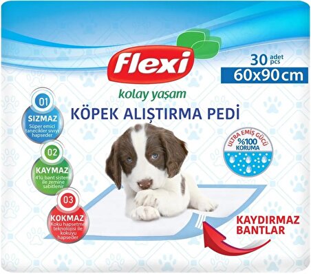 Flexi Evcil Hayvan Tuvalet Eğitim Pedi 60*90CM 30 Adet Tekli Pk
