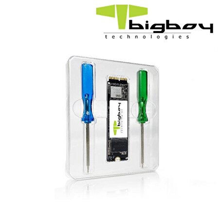 Bigboy BSSDA900-256G 256GB A900 2500-1800Mb/s PCIe 3x4 Apple SSD Harddisk