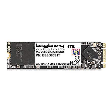Bigboy Sata 3.0 1 TB SSD