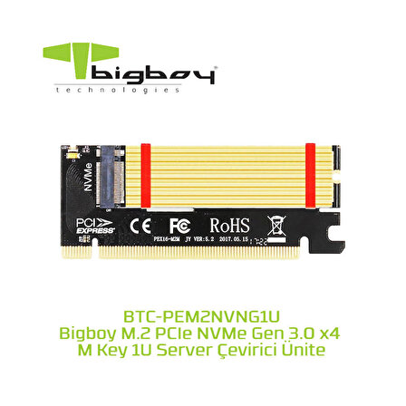 Bigboy BTC-PEM2NVNG1U PCIe 3 X4 M2 X4 M Key 1 U Server Çeviricisi