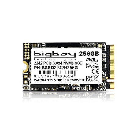 Bigboy BSSD2242N256G M2 256 GB M.2 1300 MB/s 2500 MB/s SSD 