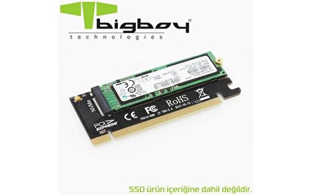 Bigboy BTC-M2NV161U PCIe 3.0 x16 PCI M.2 x4 to M Key Çevirici Ünitesi