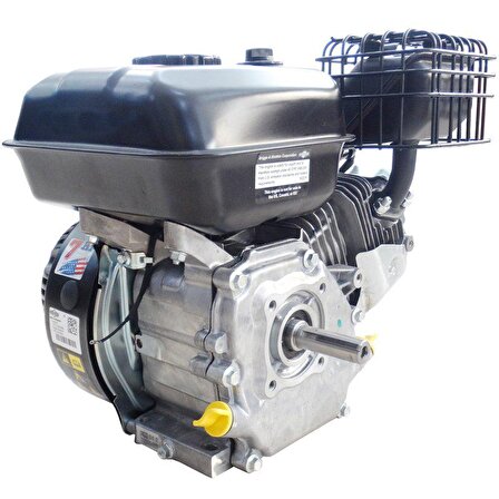 Brıggs & Stratton CR950 Benzinli Motor 6.5Hp 208Cc