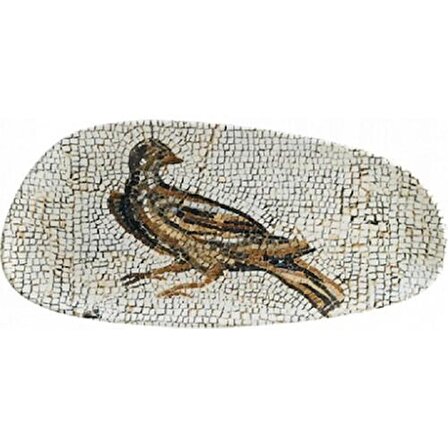 Bonna Porselen Mezopotamya Kuş Vago Dikdörtgen Tabak (2 Lİ ADET) 36 cm