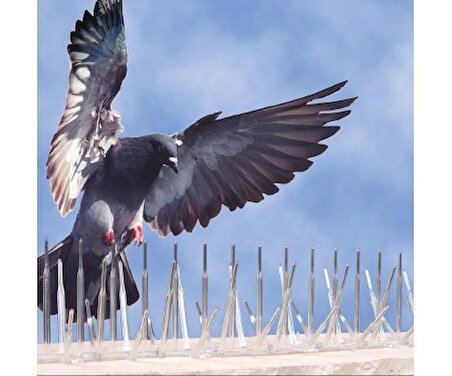 Kuş Konmaz Dikeni - Kuş Kondurmaz Metal Tel Diken 10'lu Paket