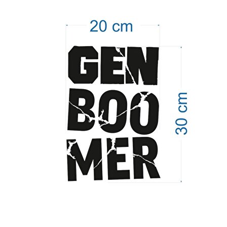 Craftidea® Gen B Jenerasyonu Sticker Oto Tuning Sticker 20x30 cm Folyo Etiket