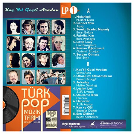 Türk Pop Müzik Tarihi 1960-70'li Yıllar Karışık LP Plak