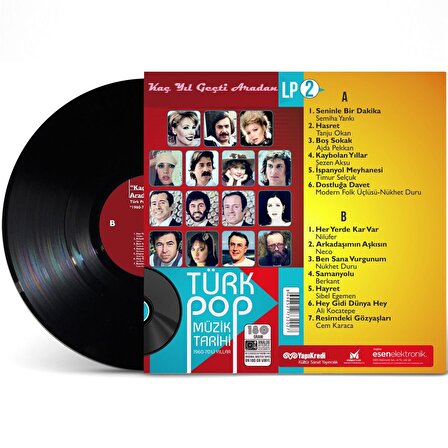 Türk Pop Müzik Tarihi 1960-70'lı Yıllar – LP Vol.2   (Plak)