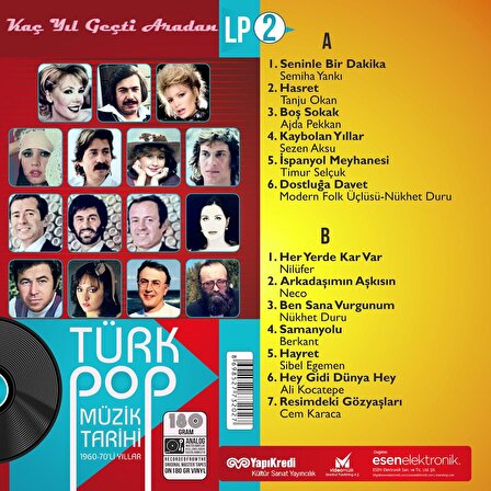 Türk Pop Müzik Tarihi 1960-70'lı Yıllar – LP Vol.2   (Plak)
